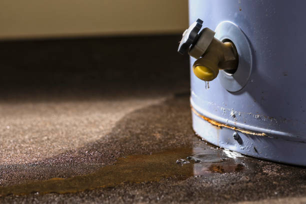 Best Water damage repair service  in Onawa, IA