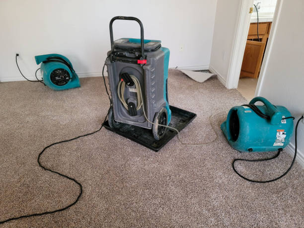 Best Mold removal after water damage  in Onawa, IA