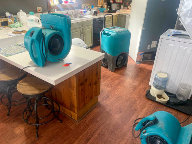 Best Flood damage cleanup  in Onawa, IA