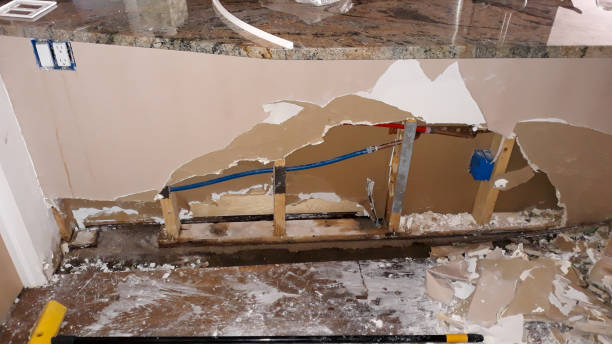 Best Water damage restoration process  in Onawa, IA