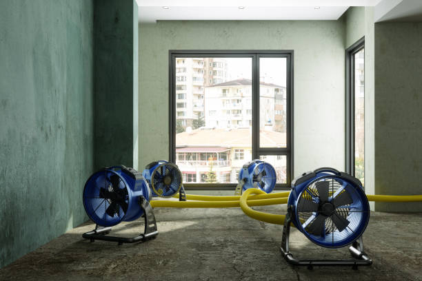 Best 24/7 water damage repair  in Onawa, IA